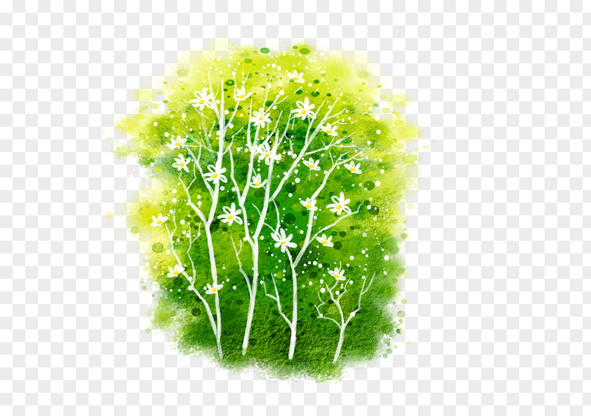 Lush Green Grass PNG