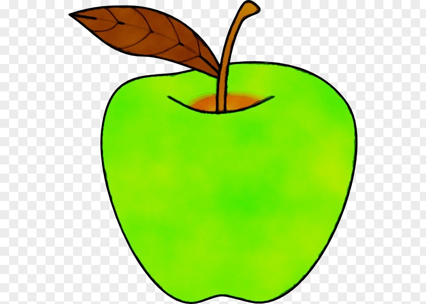 Plant Stem Tree Apple Drawing PNG