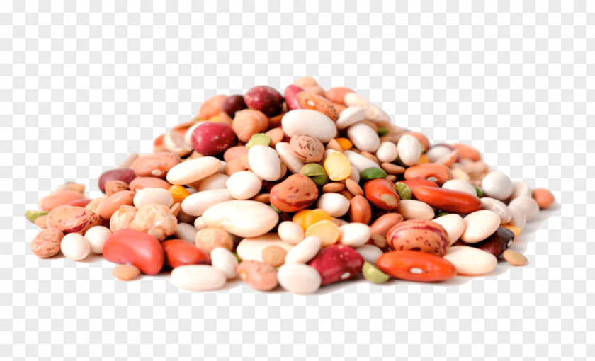 Stock Photography Common Bean Royalty-free PNG