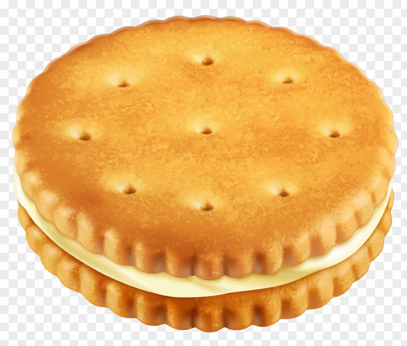 Biscuit Cliparts Chocolate Chip Cookie Custard Cream Biscuits PNG