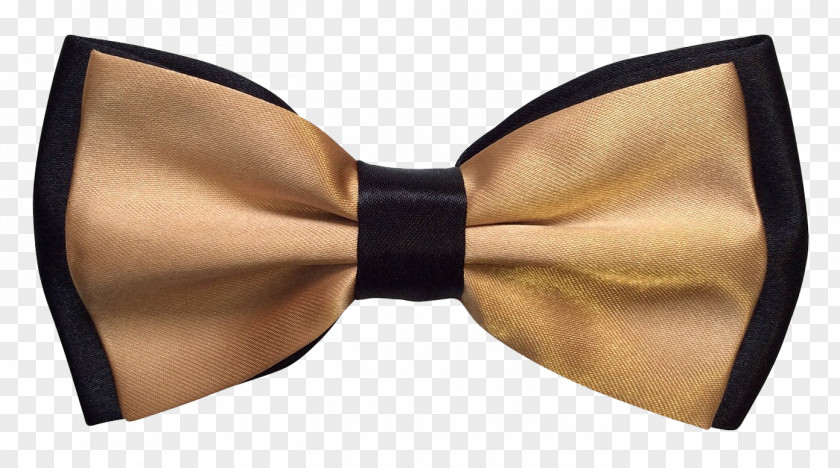 Bow Tie Necktie PNG