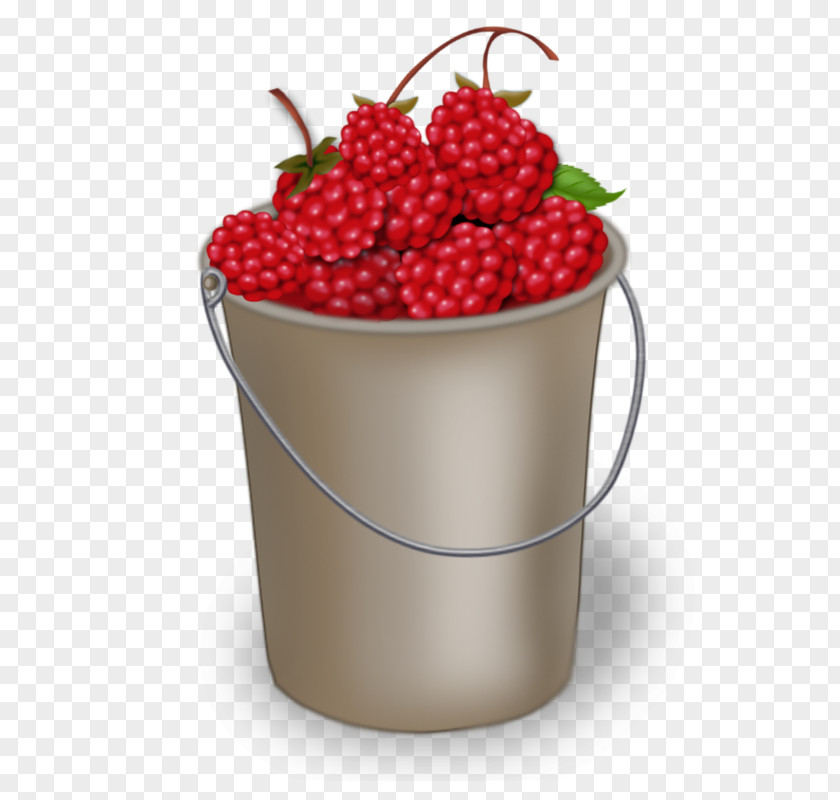 Cherry Flowerpot Berry Natural Foods Superfood PNG