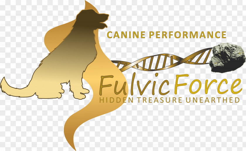 Domestic Animals Cat Dog Felidae Fulvic Acid Well-being PNG