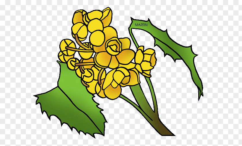 Flower Oregon Grape California State PNG