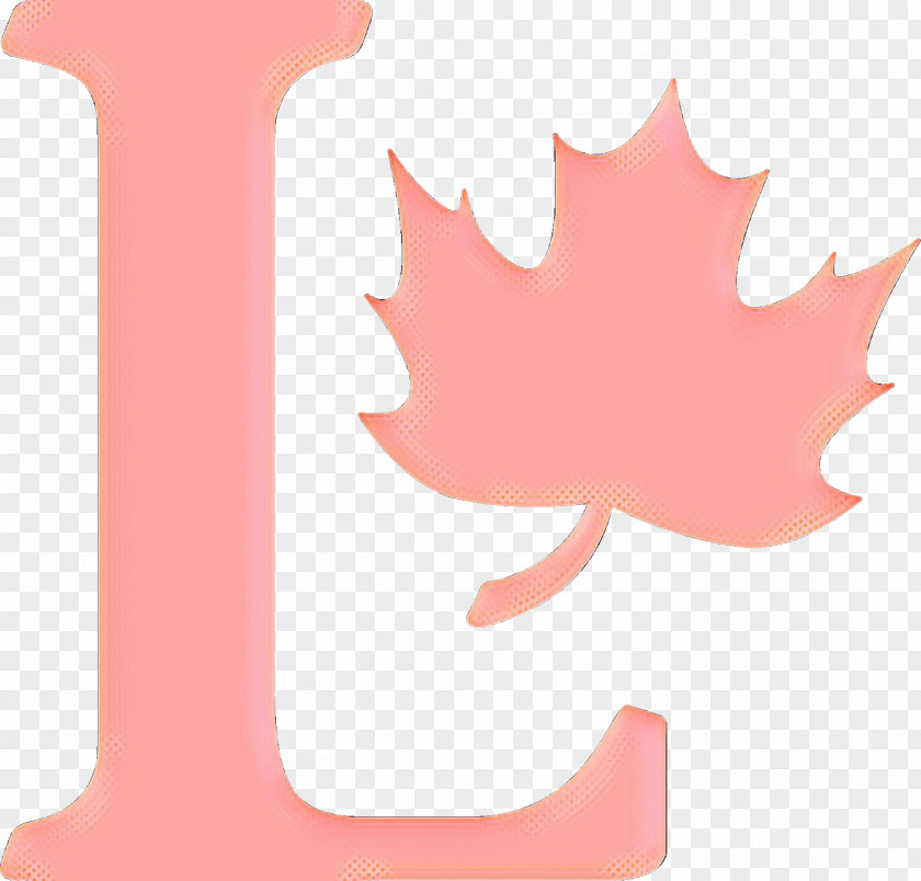 Plant Woody Canada Maple Leaf PNG