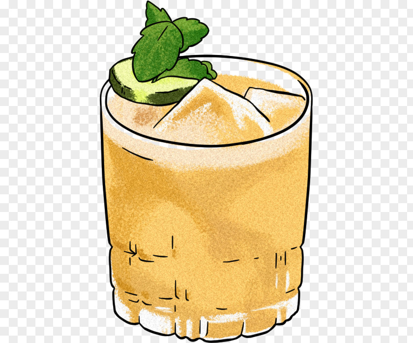 Rum Splash Mint Julep Cocktail Mai Tai Batida PNG