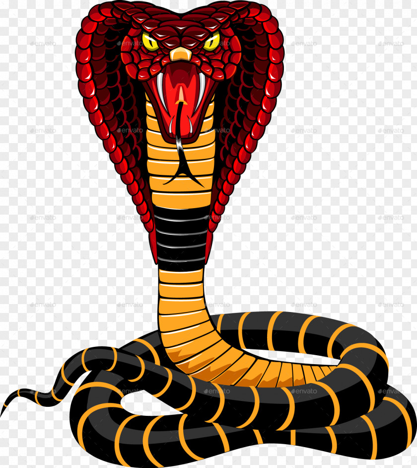 Snakes Snake Vipers Indian Cobra King PNG