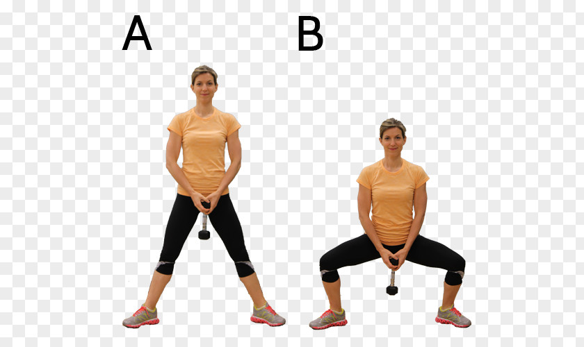 SUMO Hip Physical Fitness Weight Training Strength Calf PNG