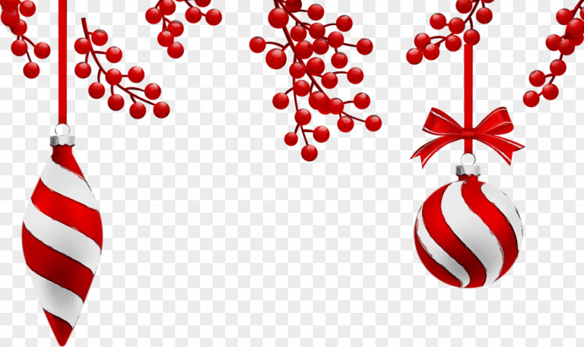 Christmas Plant Red PNG