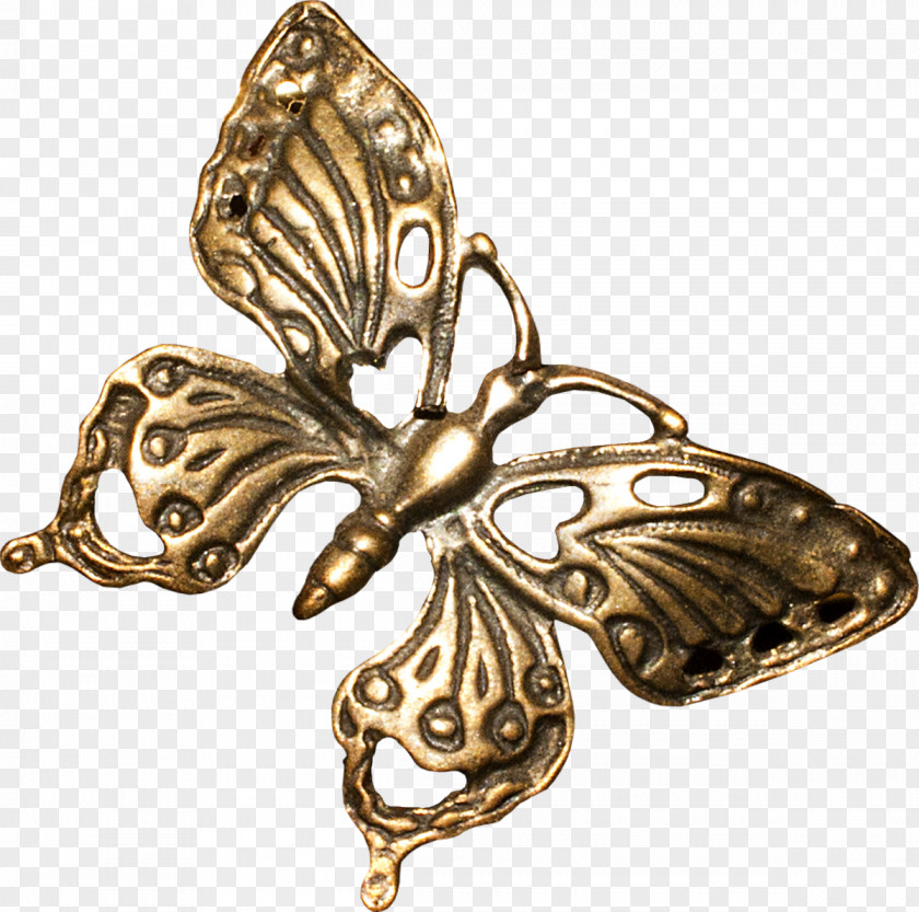 Jewellery Brooch PNG