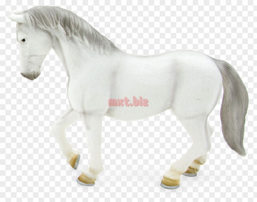 Lipizzaner Lipizzan Pony Clydesdale Horse American Quarter Mane PNG
