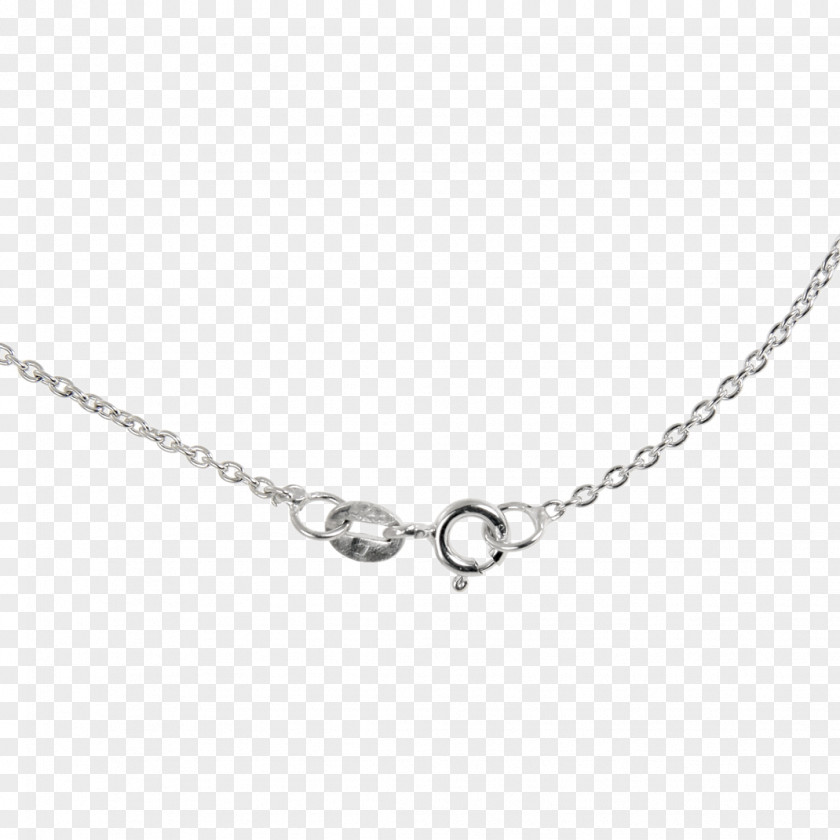 Necklace Charms & Pendants Earring Jewellery Chain PNG