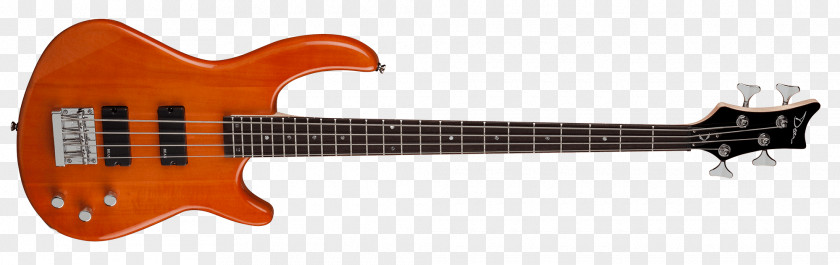 Amber Washburn Guitars Bass Guitar Electric Pickup PNG