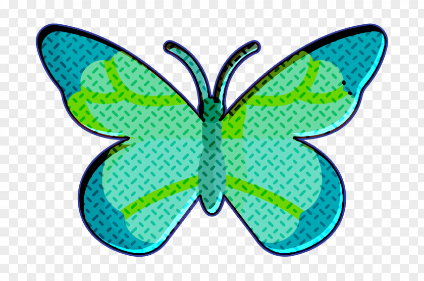 Butterfly Icon Insects Entomology PNG