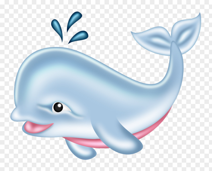 Cartoon Whale Drawing Clip Art PNG