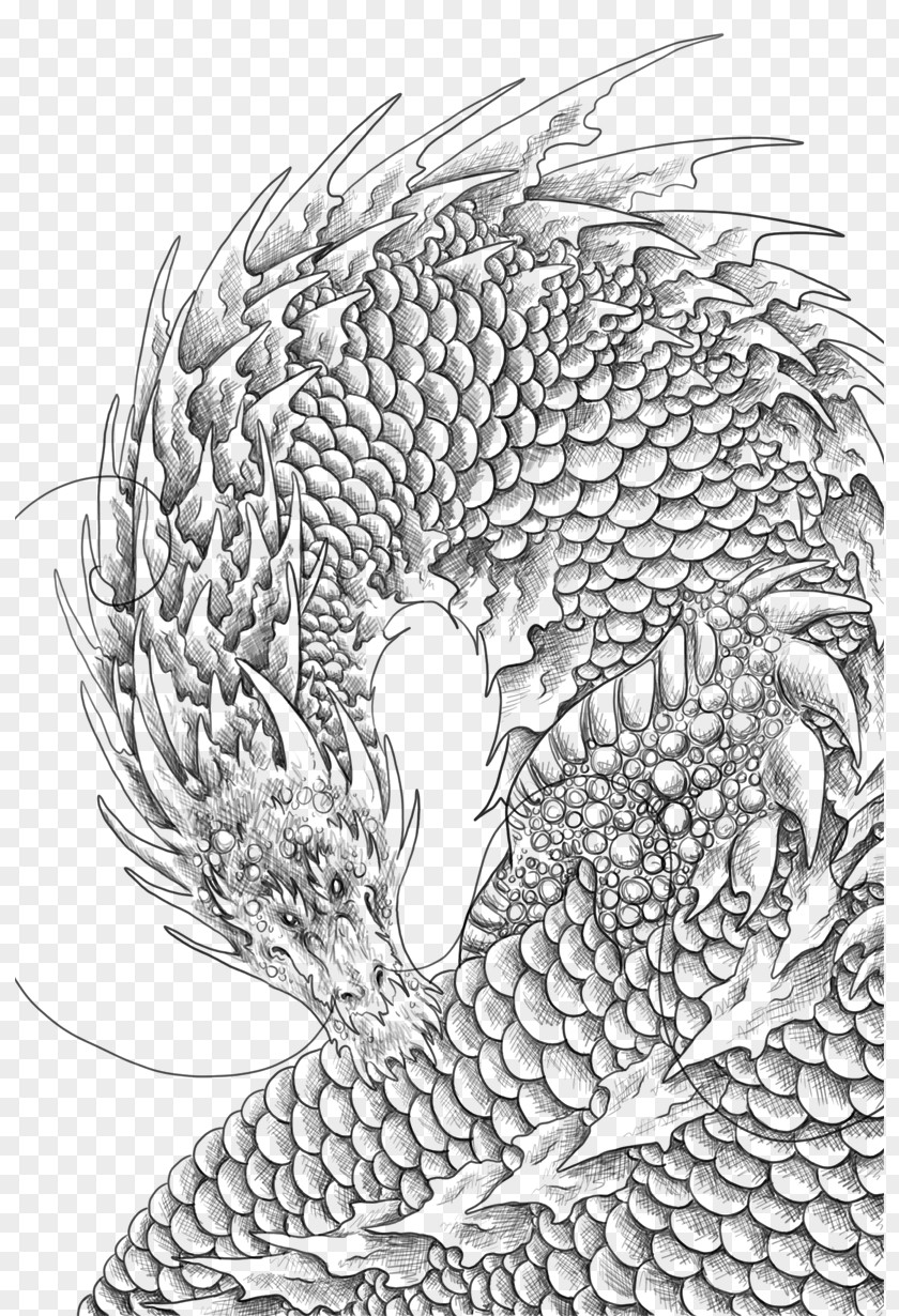 Dragon Pattern Line Art Visual Arts PNG