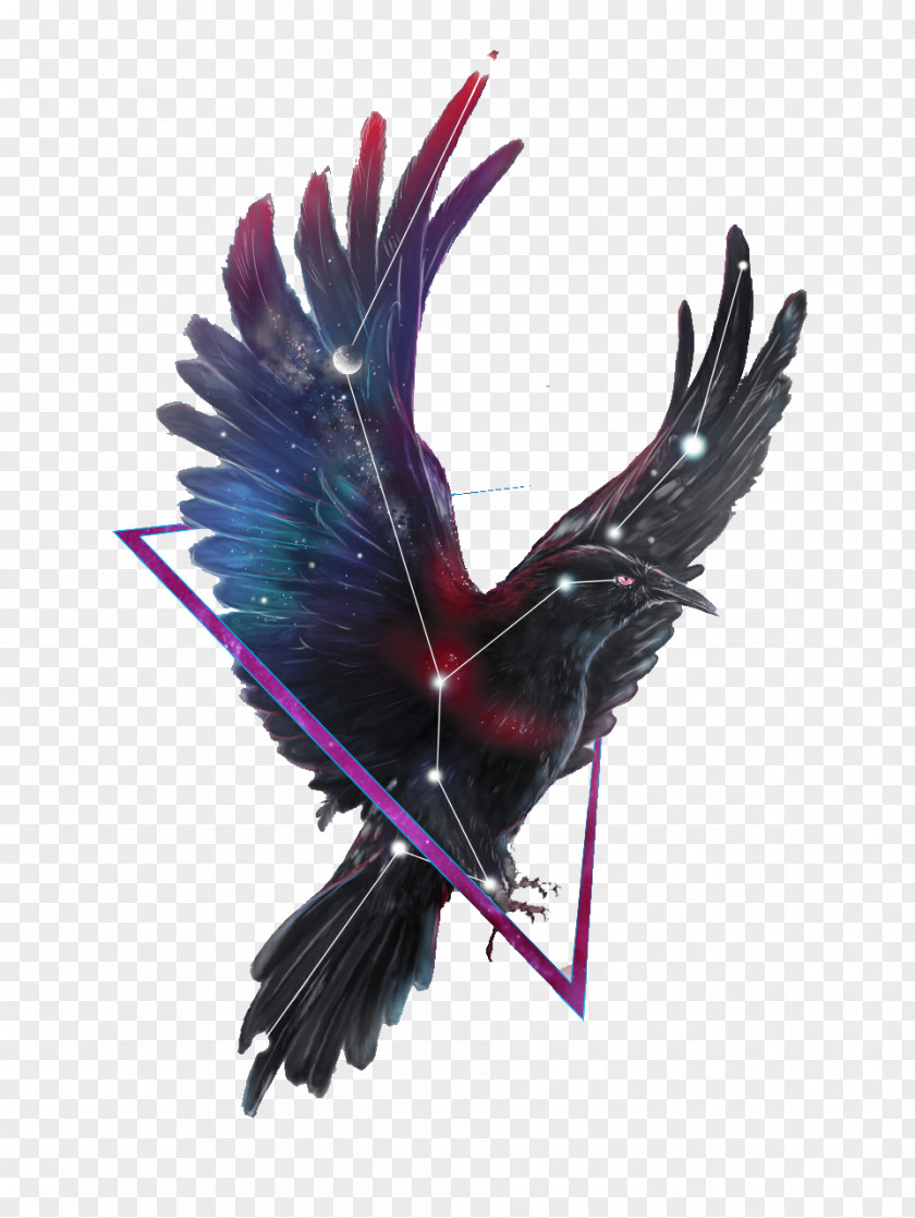 Painted Crow Common Raven Bird PNG