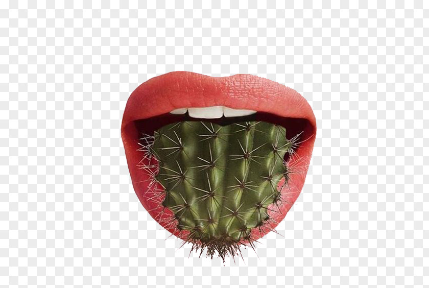 Cactus Tongue Pun Graphic Design Food Art PNG