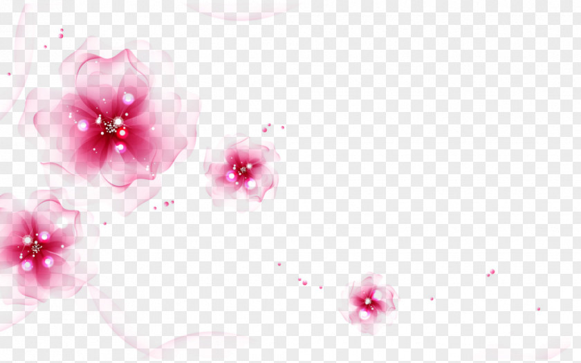 Flower Desktop Wallpaper Lock Screen Floral Design Samsung Galaxy On5 PNG