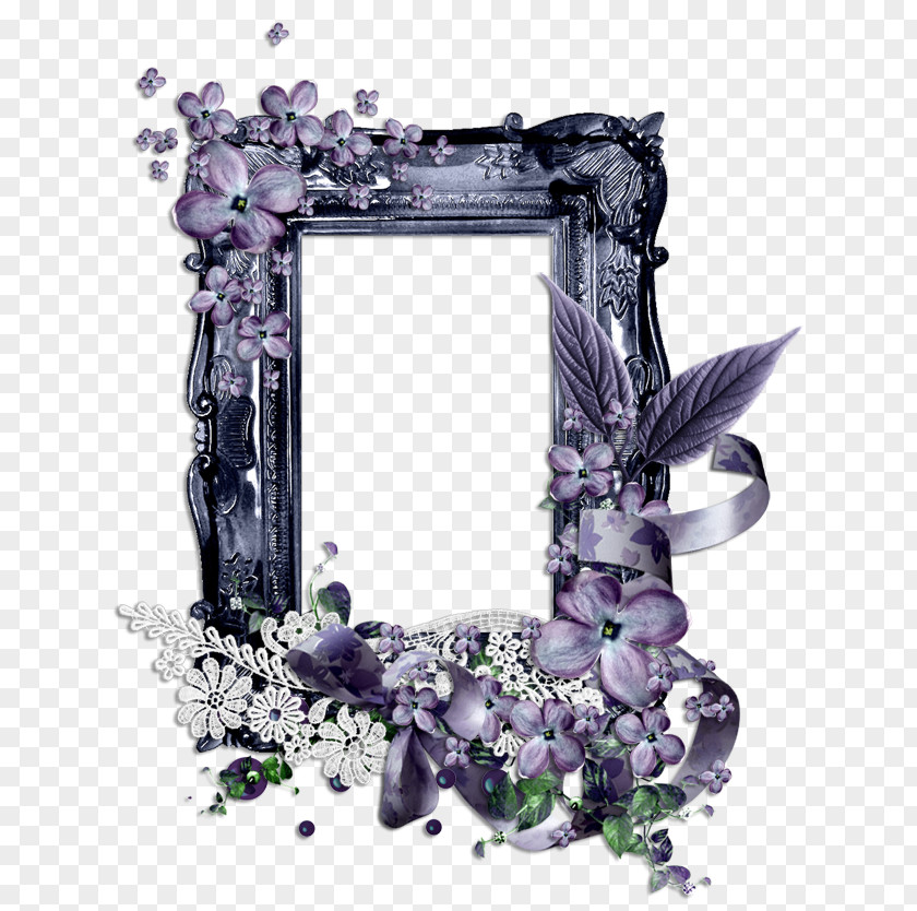 Picture Frames Photography Blog Clip Art PNG