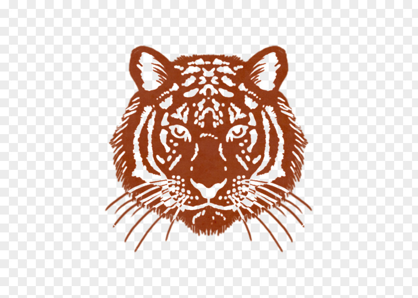 Tiger Lion Whiskers Snout PNG