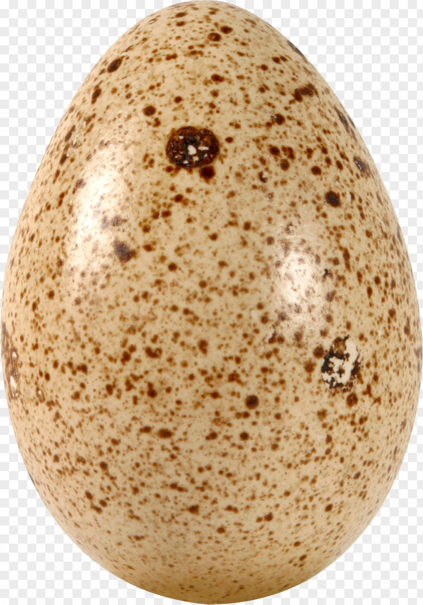 Egg Image Fried Easter PNG