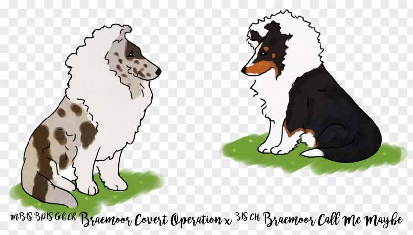 Shetland Sheepdog Dog Breed Puppy Paw PNG
