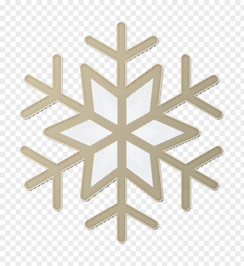 Snowflake Winter Icon Christmas Snow PNG