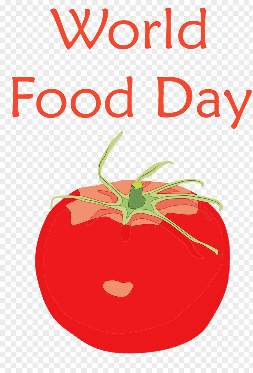 Tomato PNG