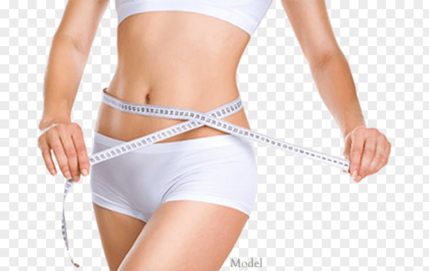 Weight Loss Non-surgical Liposuction Adipose Tissue Female Body Shape PNG