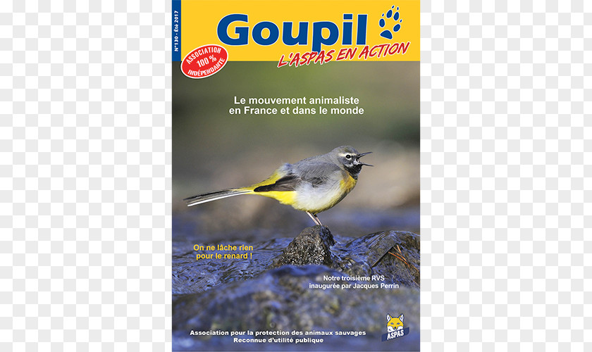 Bird Flora Beak Fauna Advertising PNG
