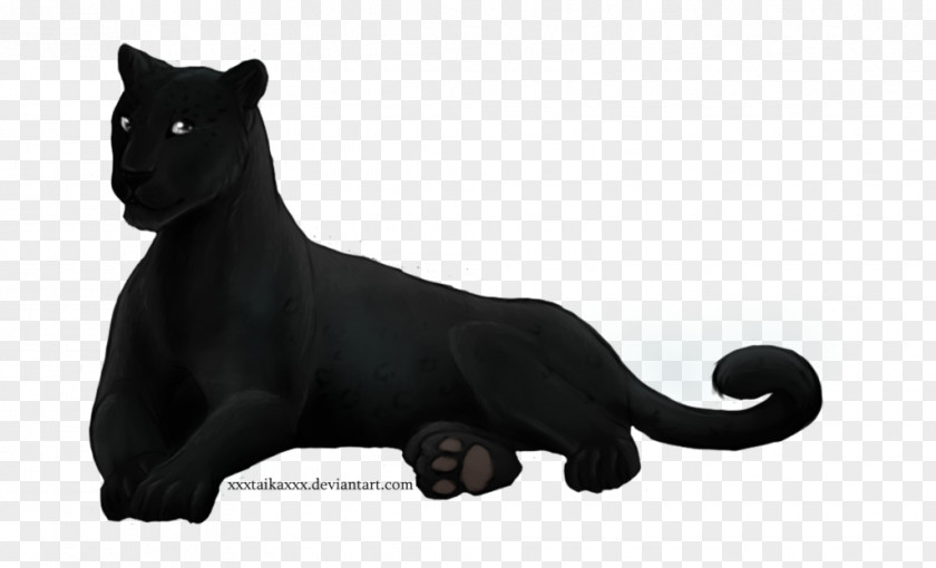 Black Panther Cat Mammal Whiskers Carnivora Animal PNG