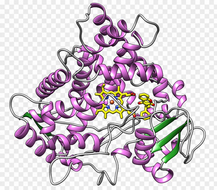 Cytochrome P450 CYP2C9 Active Site Enzyme Substrate PNG