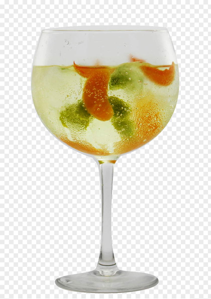 Snack Cocktail Garnish Gin And Tonic Water PNG