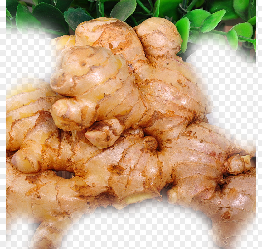 A Ginger Yunnan Tea Ham PNG