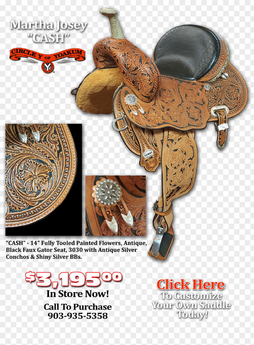 Barrel Racer Email Price Animal Telephone Call PNG