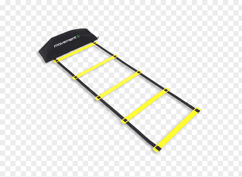 Fitness Movement Product Training Ceiling Meter Stairs PNG