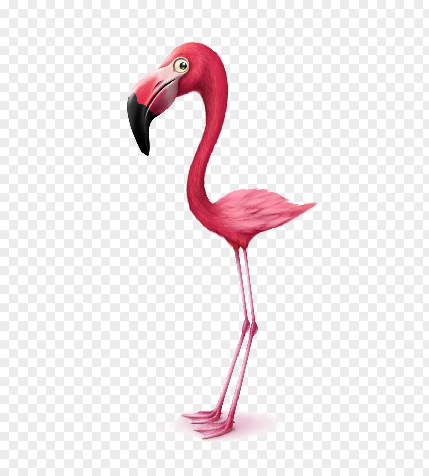 Hand-painted Flamingos PNG flamingos clipart PNG
