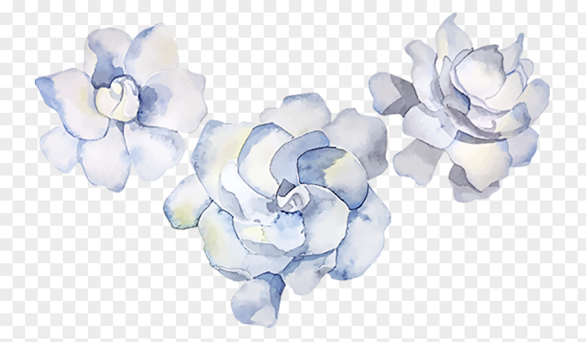 Painting Cape Jasmine PNG