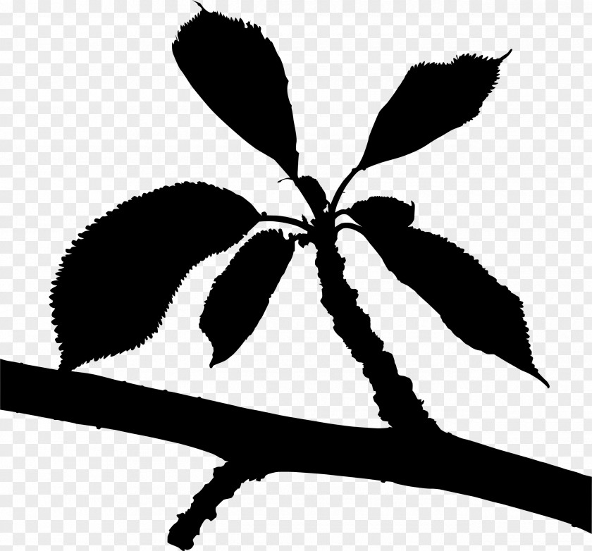 Twig Flower Plant Stem Leaf Clip Art PNG