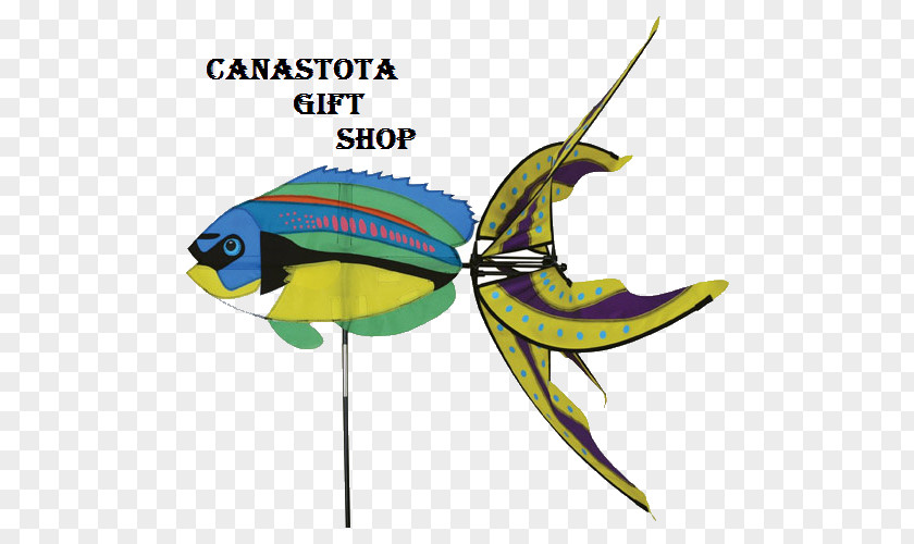 Fish Wrasse Aquatic Animal Seahorse Clip Art PNG