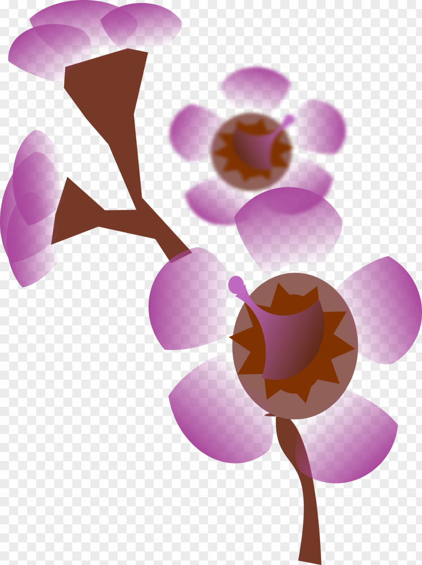 Flower Petal Pink Clip Art PNG