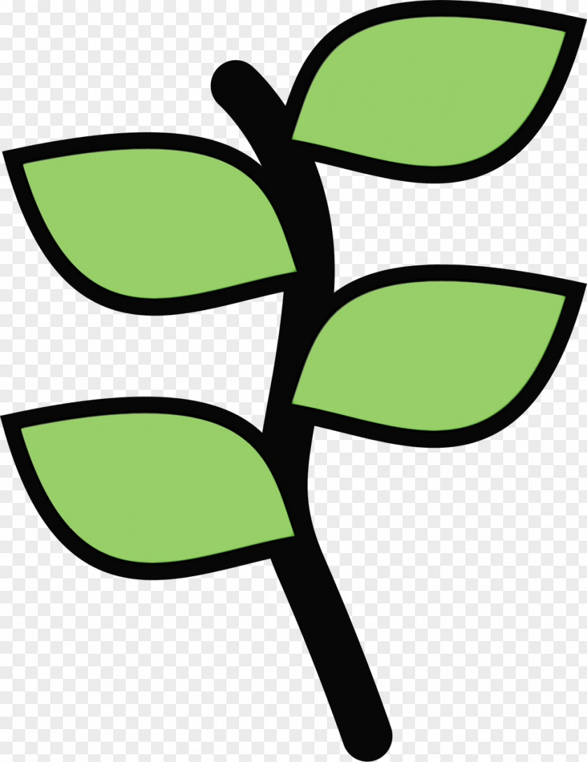 Plant Botany Green Leaf Watercolor PNG