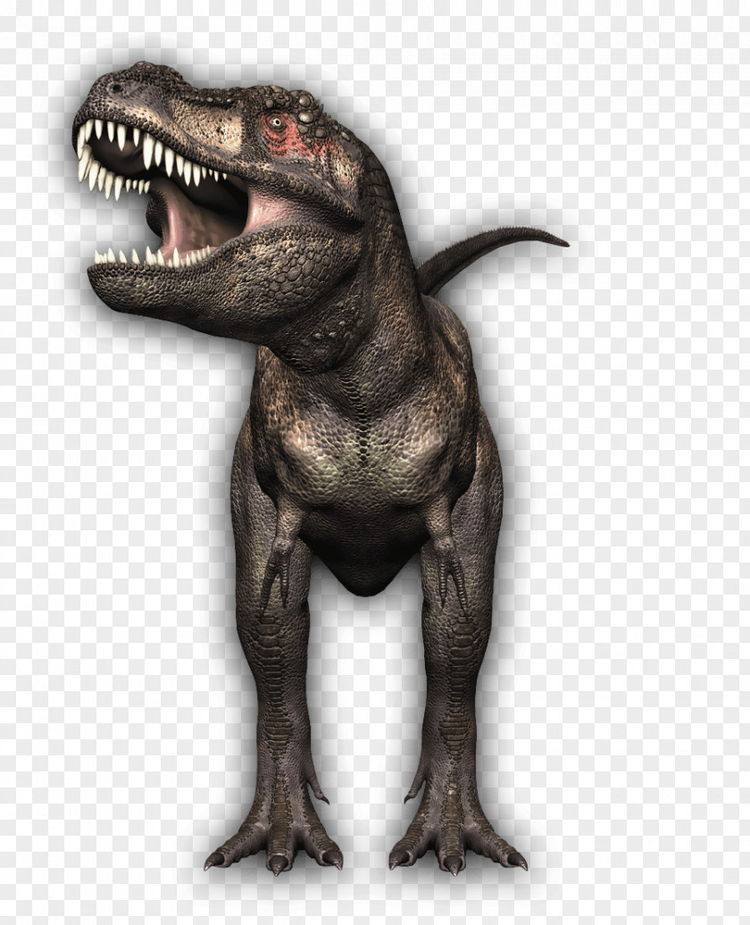 Tyrannosaurus Carnivore Dinosaur Stock Photography Drawing Clip Art PNG
