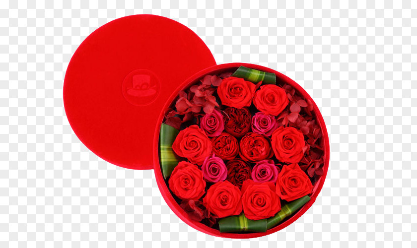 Big Red Rose Gifts Garden Roses Beach Flower Gift PNG
