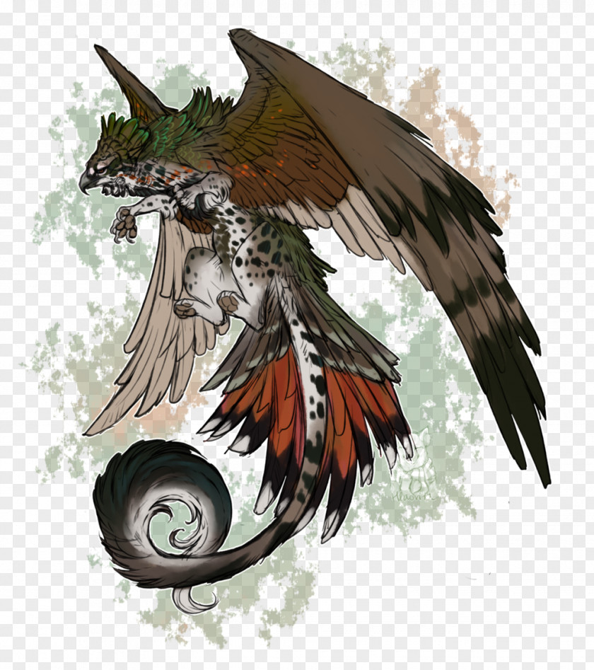 Bird Of Prey Beak Illustration Feather PNG