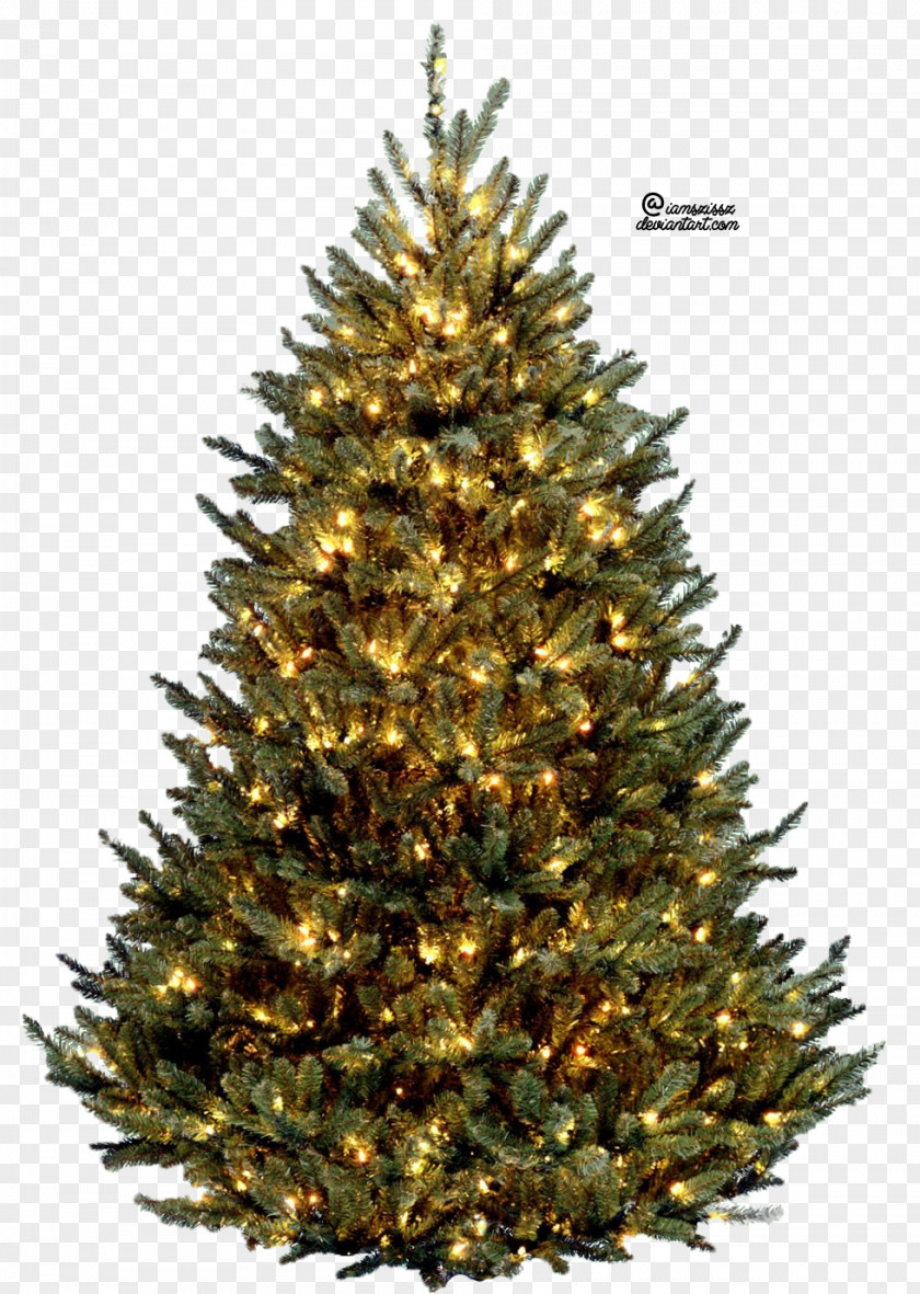 Christmas Tree Free Image Vatican Fraser Fir Artificial PNG