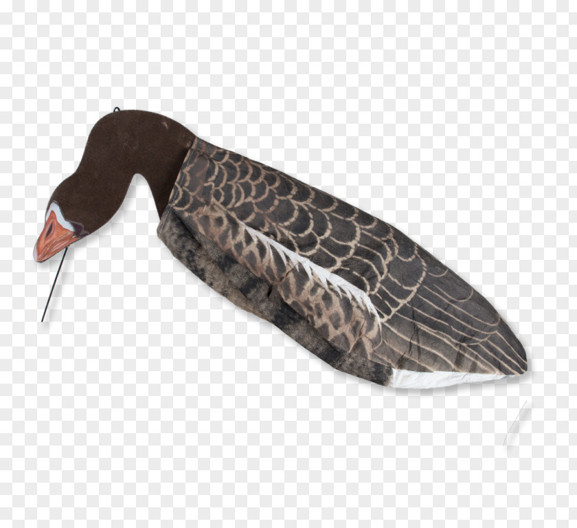 Duck Greylag Goose Mallard Hunting PNG