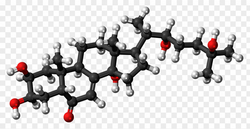 Frie Cholesterol High-density Lipoprotein Lanosterol Ball-and-stick Model Low-density PNG