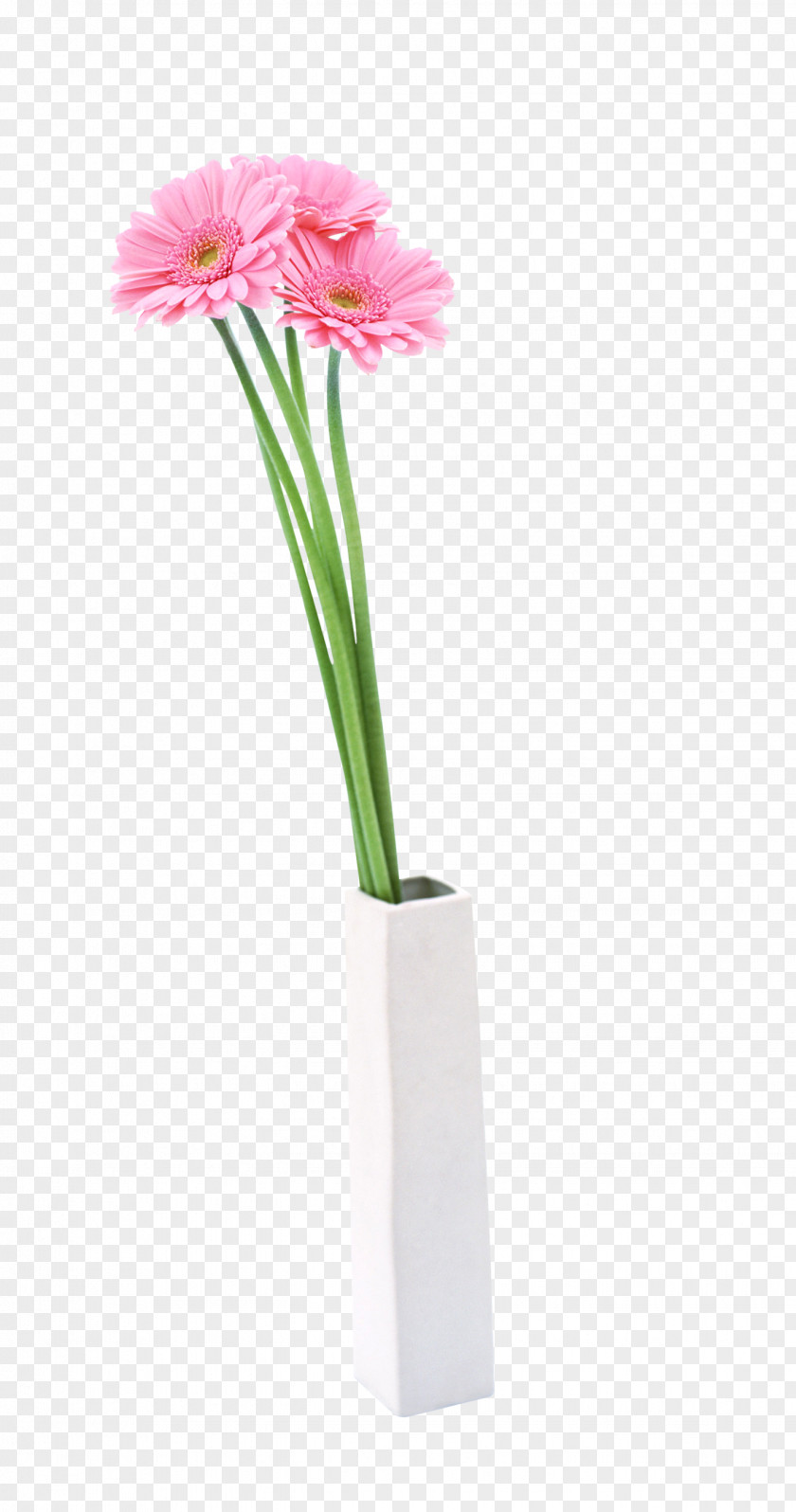 Ornamental Plant Flowerpot Vase Clip Art Image PNG